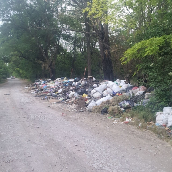 У Запорізькому районі Держекоінспекція виявила несанкціоноване сміттєзвалище