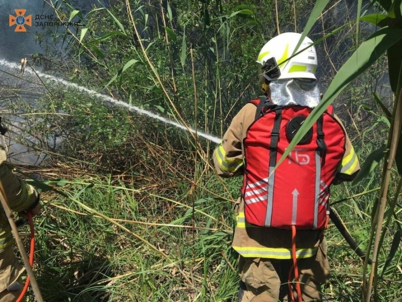 Запорізькі рятувальники ліквідували п’ять пожеж в екосистемах