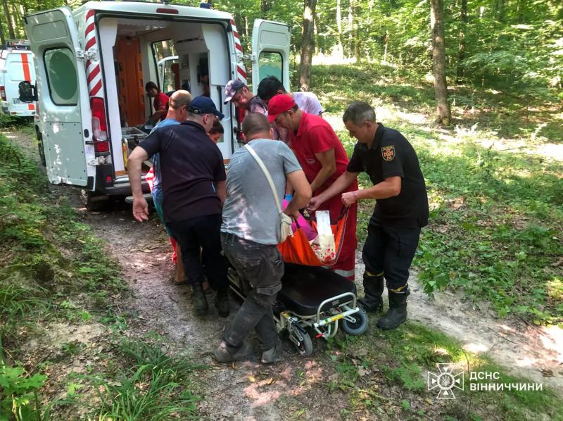 У лісах на Вінниччині травмувалося дві жінки