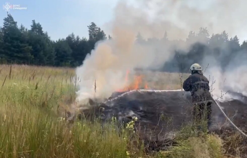 На Сумщині пожежники гасили 15 загорянь у природних екосистемах