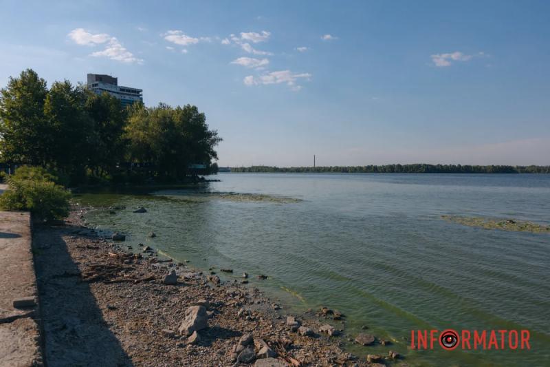 Неймовірний сморід, сміття по коліна і зелена вода