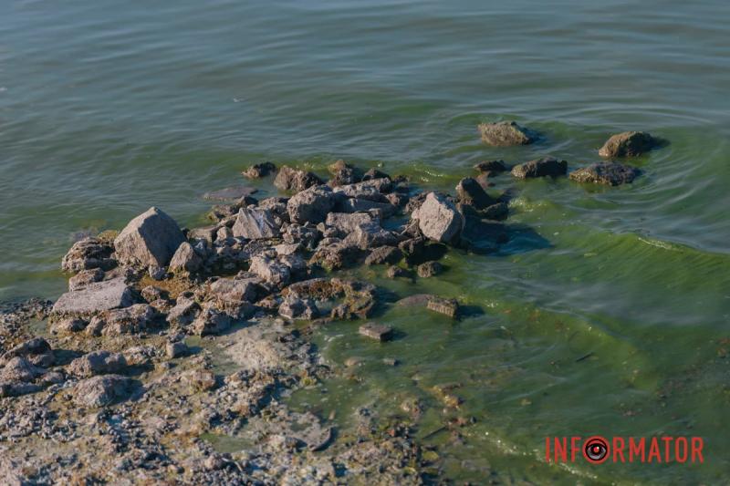 Неймовірний сморід, сміття по коліна і зелена вода