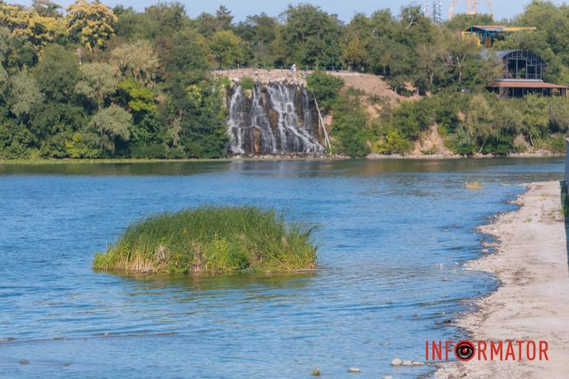 Неймовірний сморід, сміття по коліна і зелена вода