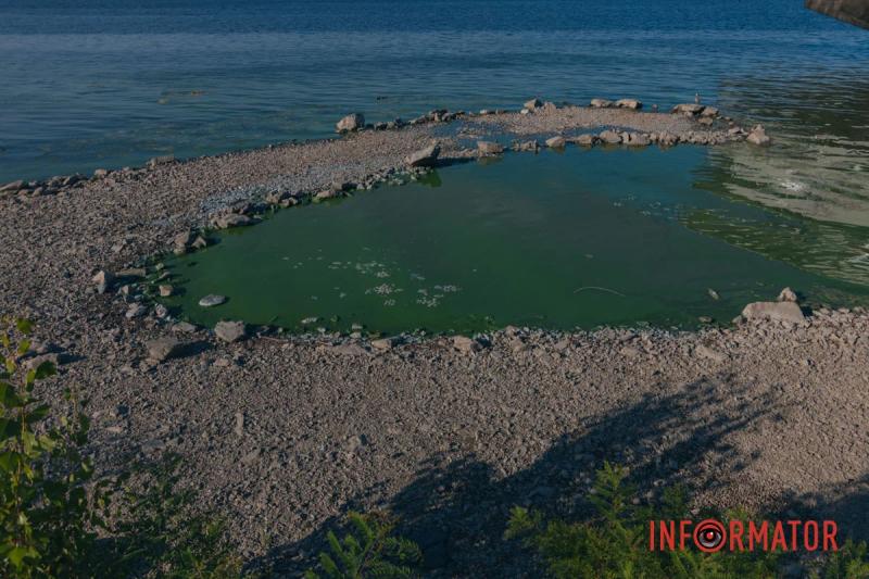 Неймовірний сморід, сміття по коліна і зелена вода