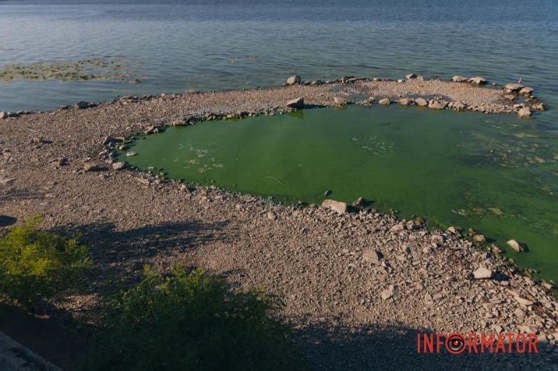 Неймовірний сморід, сміття по коліна і зелена вода