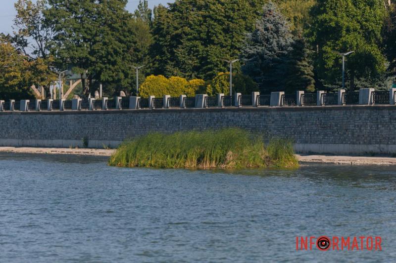 Неймовірний сморід, сміття по коліна і зелена вода