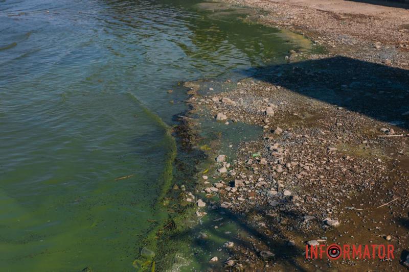 Неймовірний сморід, сміття по коліна і зелена вода