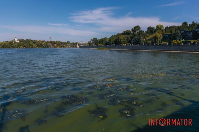 Неймовірний сморід, сміття по коліна і зелена вода