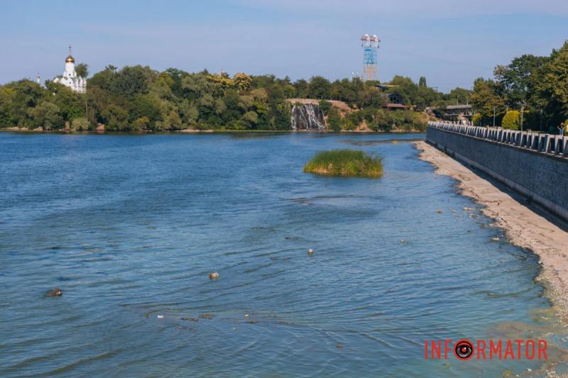 Неймовірний сморід, сміття по коліна і зелена вода