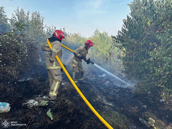 511 пожеж сухої трави та сміття на Закарпатті з початку року. Рятувальники закликають не спалювати сухостій