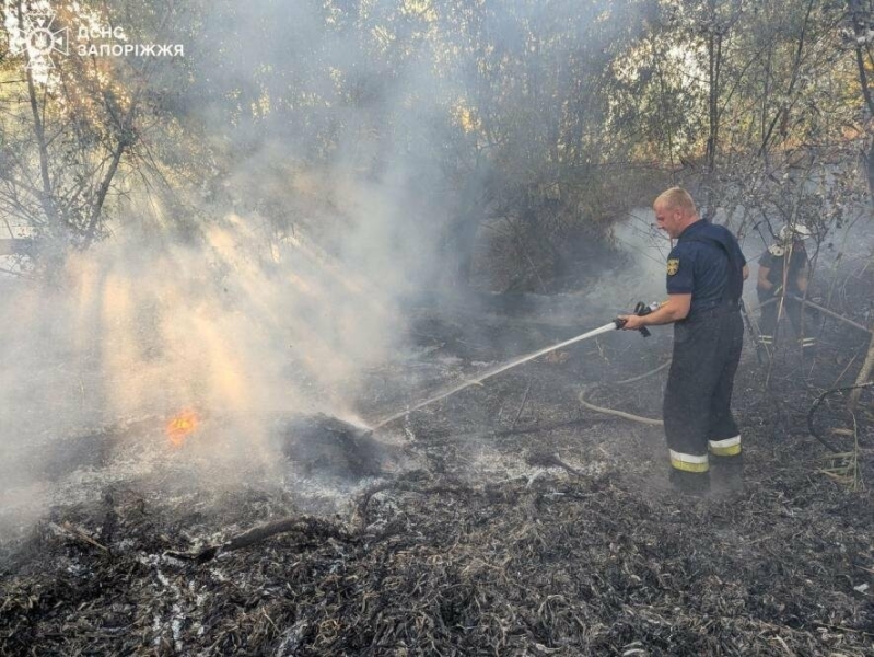 У Запорізькій області виникли 16 пожеж на відкритих територіях