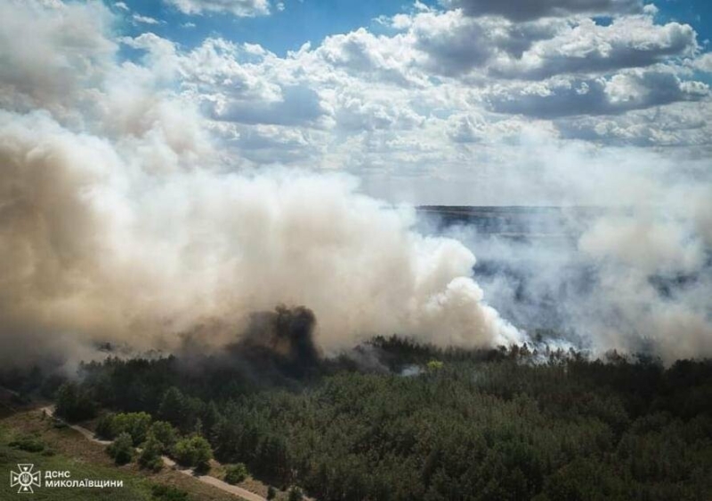 На Миколаївщині горить Андріївський ліс, - ФОТО