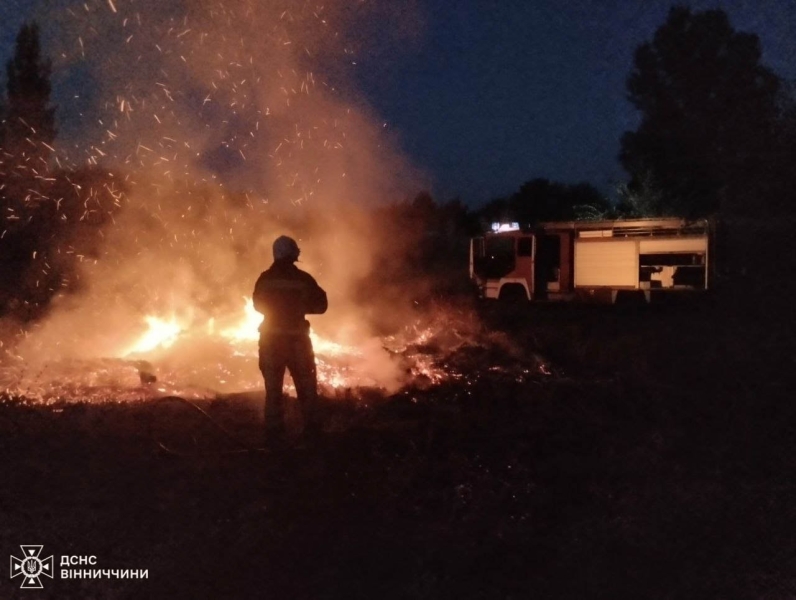 На відкритих територіях Вінницької області сталося 11 пожеж