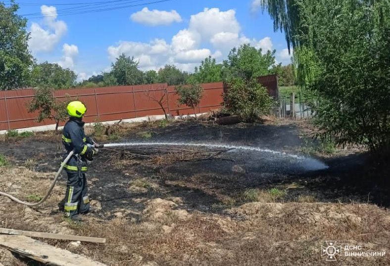 На відкритих територіях Вінницької області сталося 11 пожеж