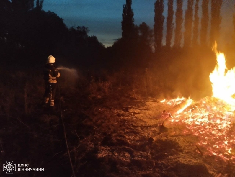 На відкритих територіях Вінницької області сталося 11 пожеж