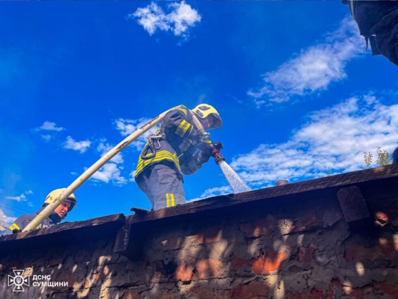 Сумські рятувальники ліквідували пожежу в житловому секторі (ВІДЕО)