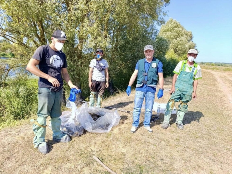 У Кролевці продовжують прибирати загиблу рибу