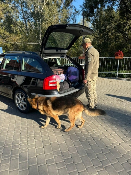 21-річна дівчина везла до Угорщини старовинний інструмент, який може становити культурну або ж історичну цінність