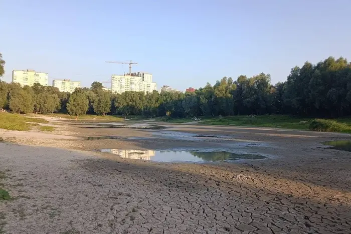 Порятунок унікального озера у Києві: завершено тендерний відбір підрядної організації