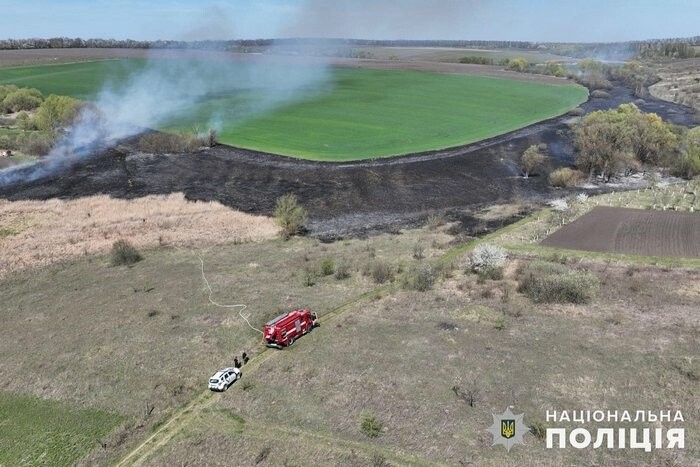 Осіннє спалювання листя під контролем закону: які штрафи загрожують порушникам?