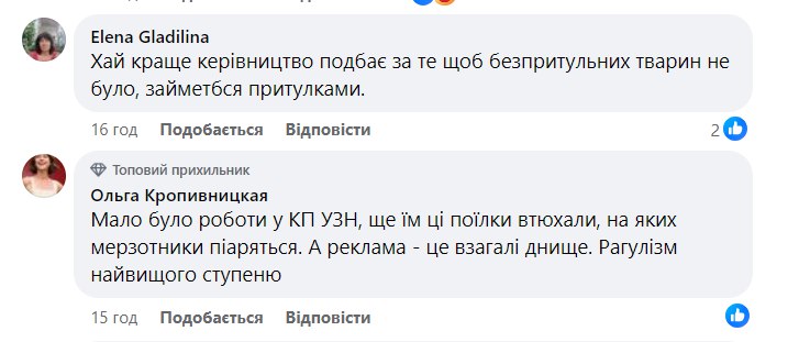 Мережа обурилася через вуличні поїлки для тварин у Києві: що з ними не так