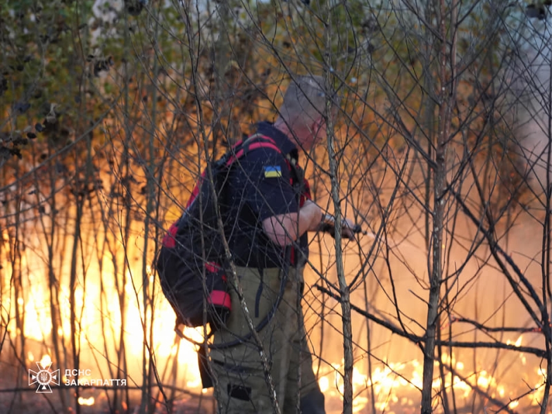 На Ужгородщині 20 рятувальників 8 годин гасили пожежу