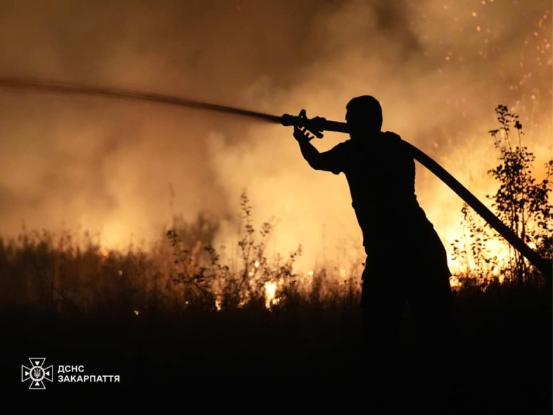 На Ужгородщині 20 рятувальників 8 годин гасили пожежу