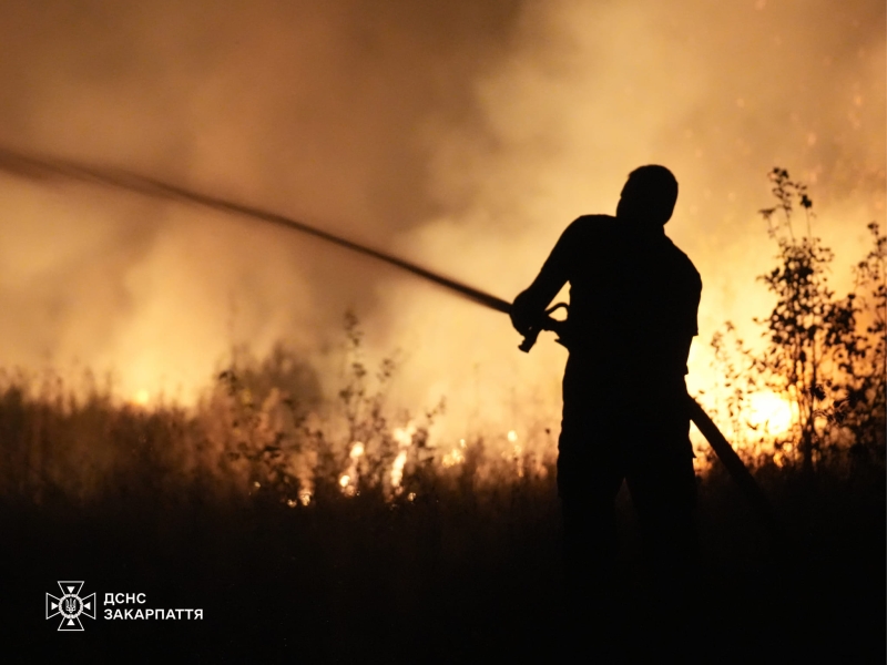 На Ужгородщині 20 рятувальників 8 годин гасили пожежу