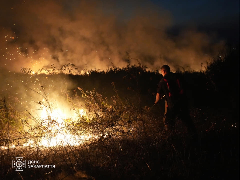 На Ужгородщині 20 рятувальників 8 годин гасили пожежу