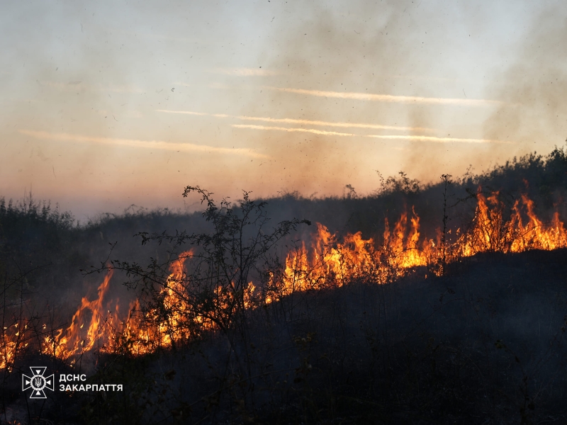 На Ужгородщині 20 рятувальників 8 годин гасили пожежу