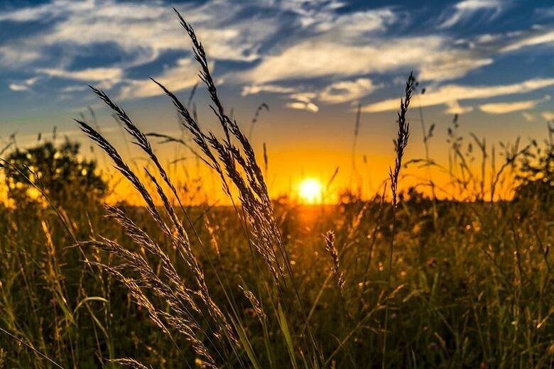 Невелика хмарність. Яка погода буде у Миколаєві в понеділок, - ФОТО