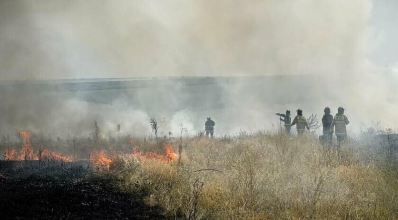 Пожежі на окупованій Луганщині знищили за добу ще майже 600 га рослинності у 25 районахах ЛНР.