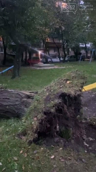 У Тернополі дерево впало на дитячий майданчик, пощастило, що дітей не було (ФОТО)