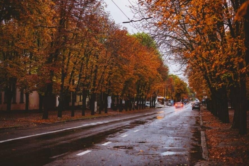 Без опадів: погода у Миколаєві в неділю