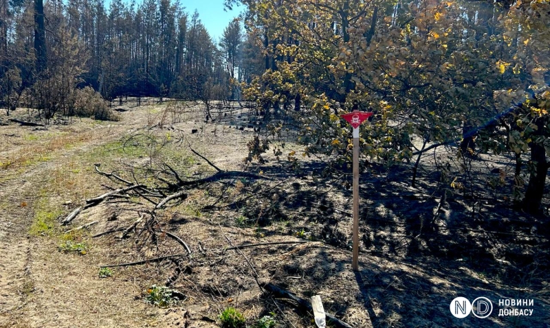 Ліс і будинки перетворилися на згарище. Війна зробила пожежі в Донецькій і Харківській областях ще більш руйнівними